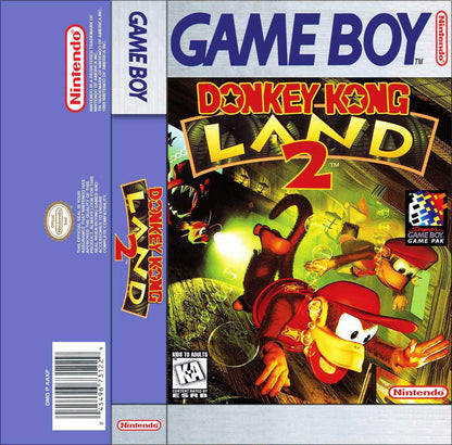 Donkey Kong Land 2 Cover Art - WOI Solutions