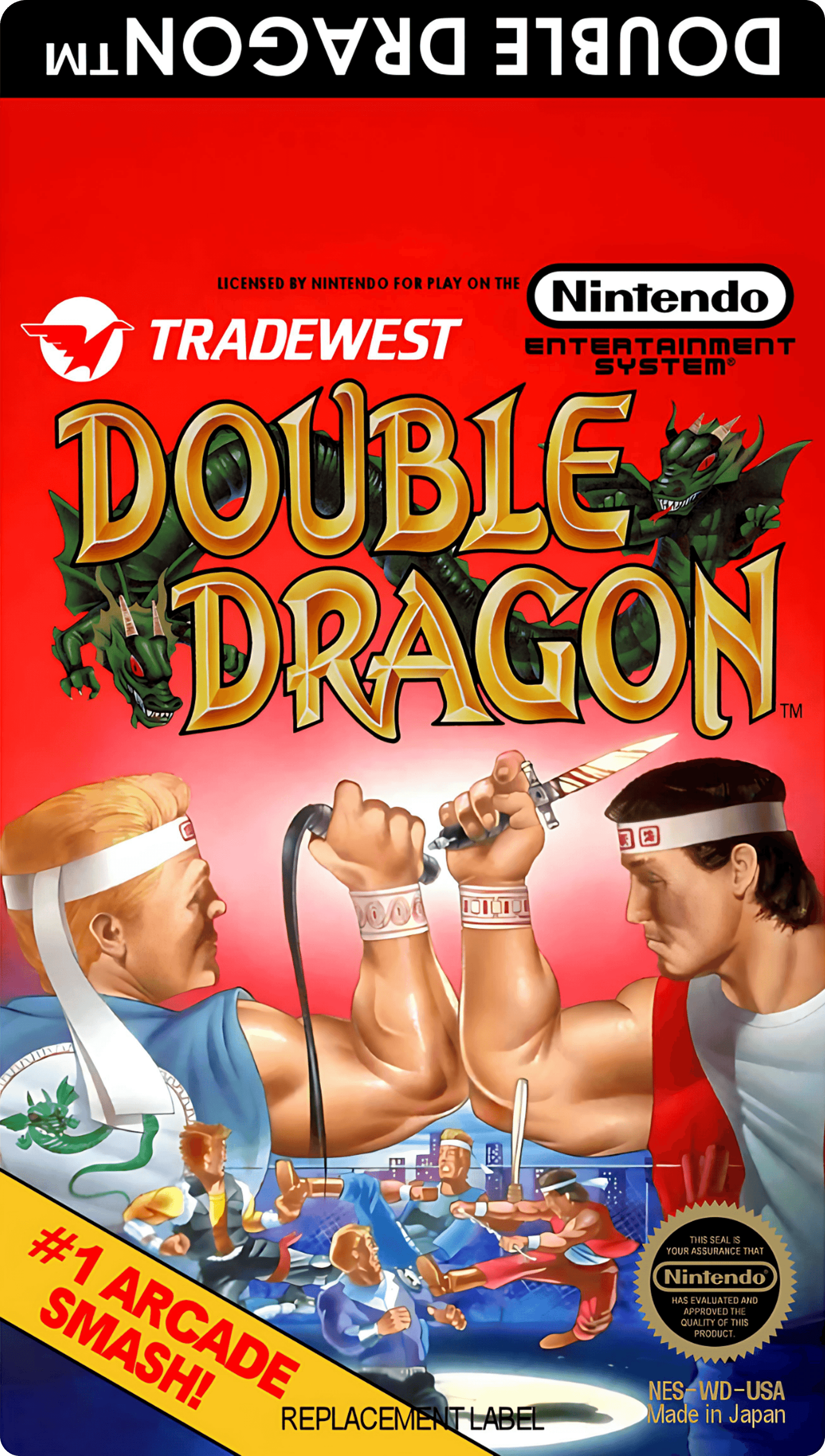 Double Dragon Cover Art - WOI Solutions