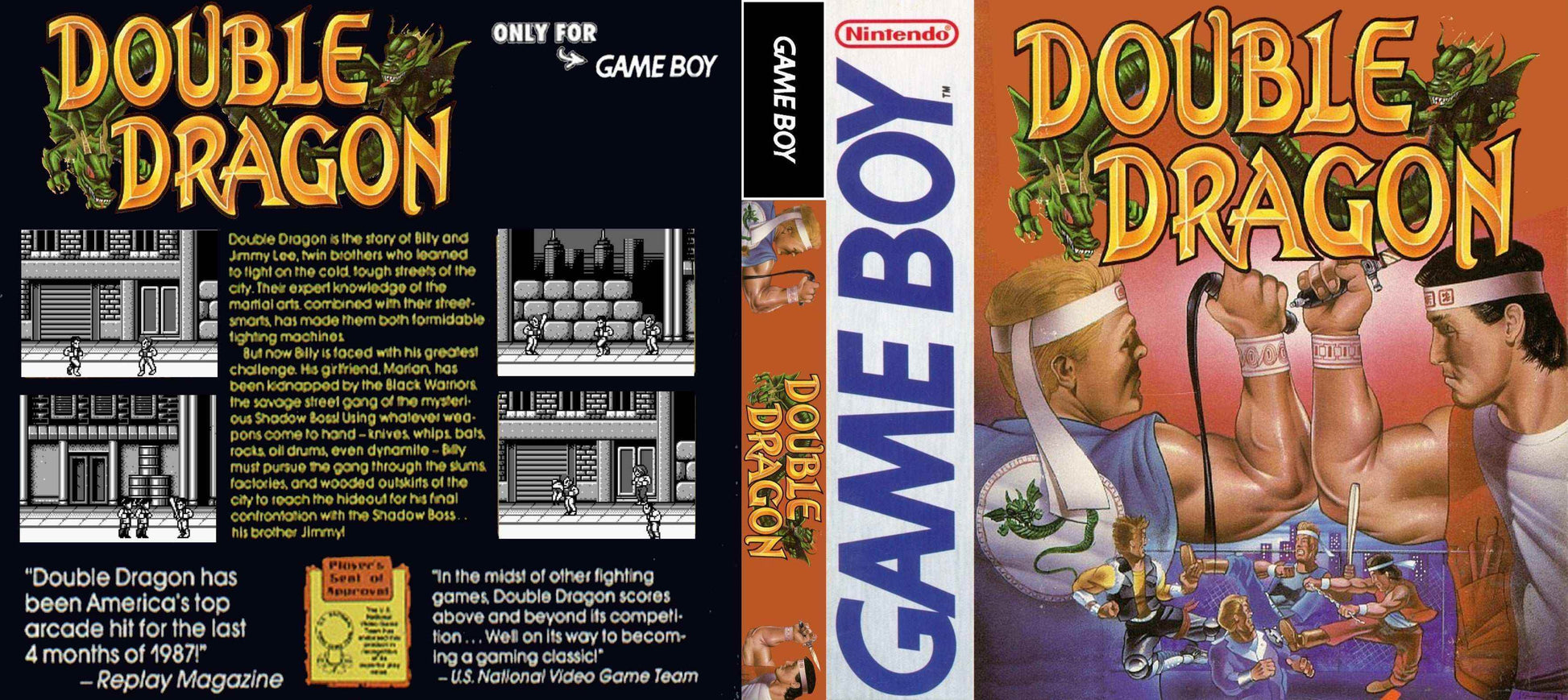 Double Dragon Cover Art - WOI Solutions