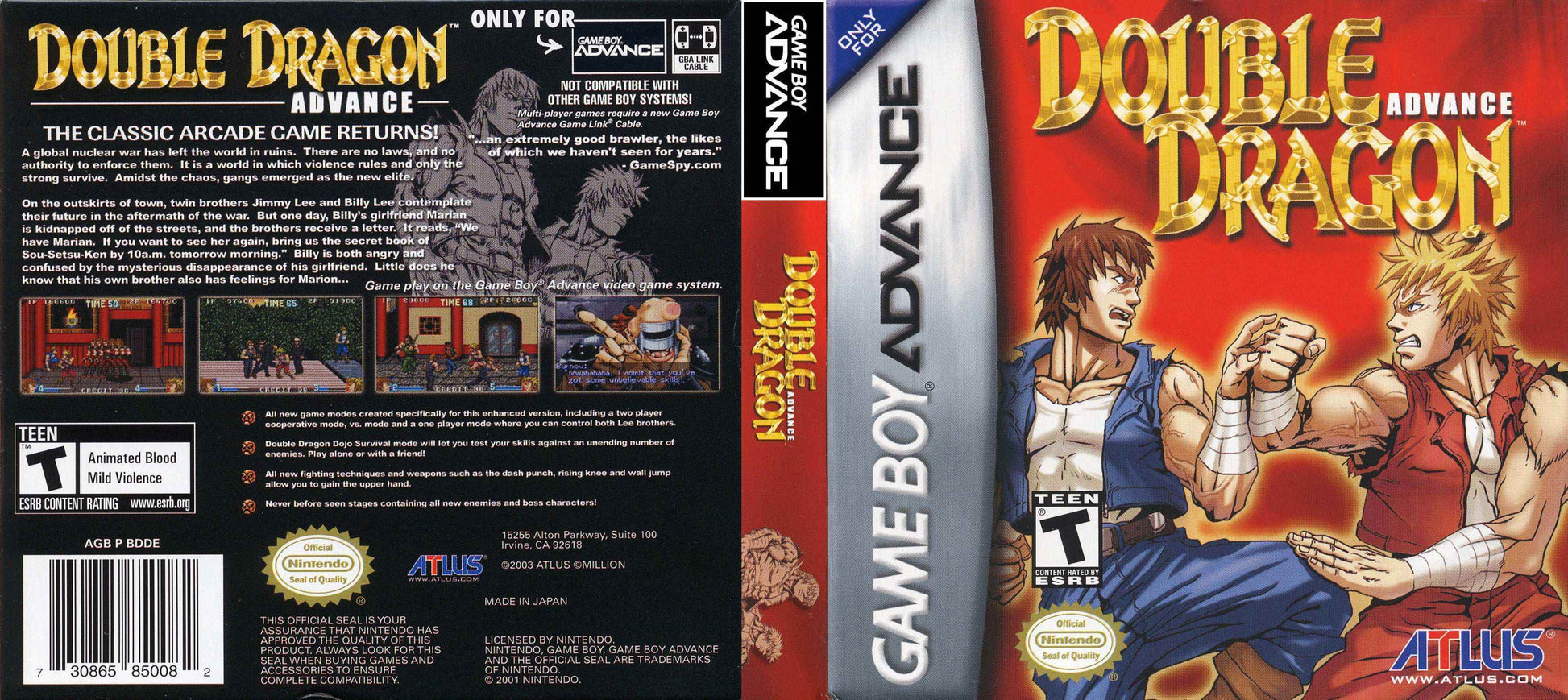 Double Dragon Advance Cover Art - WOI Solutions