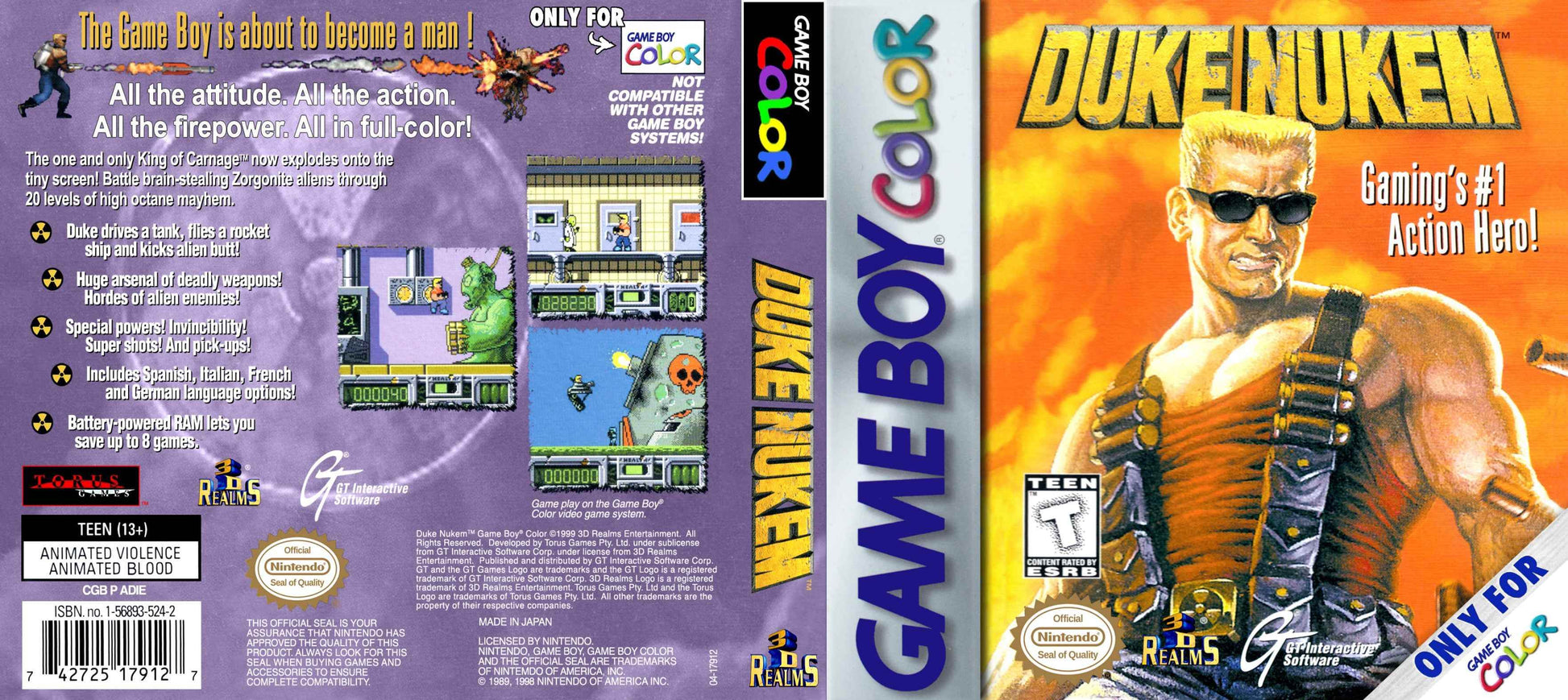 Duke Nukem Cover Art - WOI Solutions