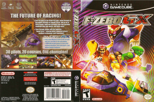 F-Zero GX Cover Art - WOI Solutions