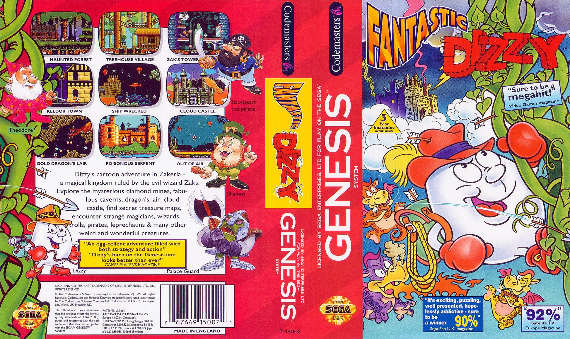 Fantastic Dizzy Cover Art - WOI Solutions