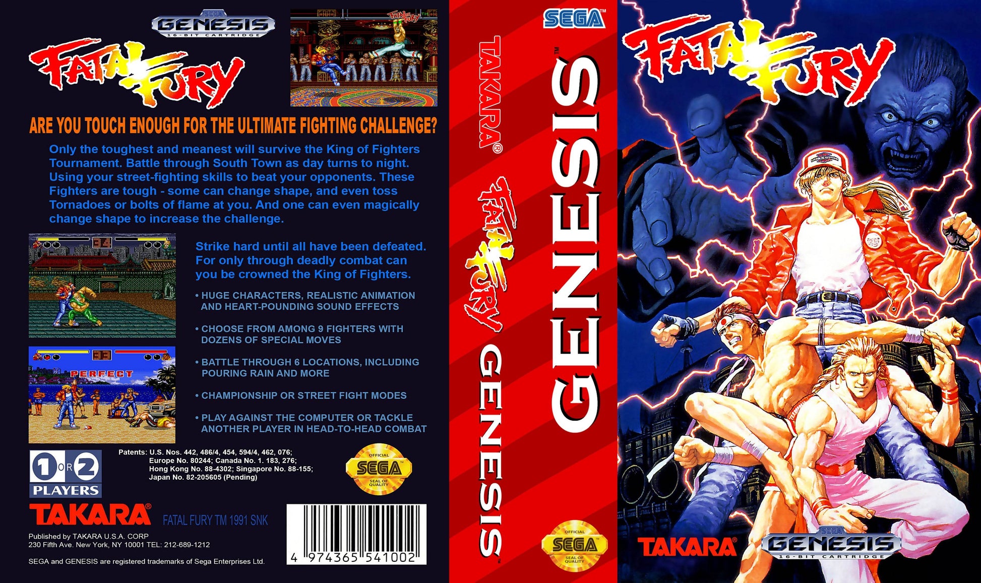 Fatal Fury Cover Art - WOI Solutions