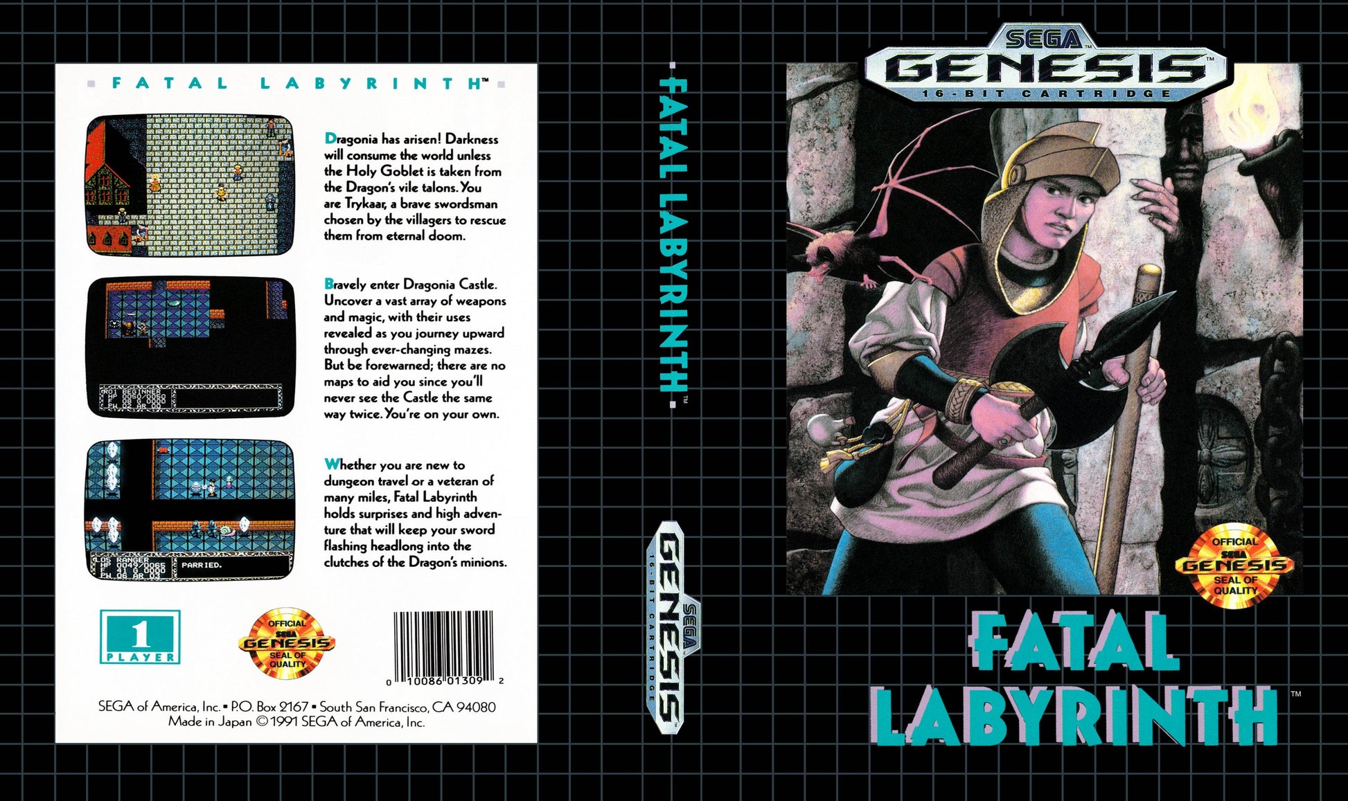Fatal Labyrinth Cover Art - WOI Solutions