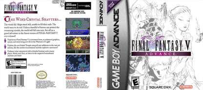 Final Fantasy V Advance Cover Art - WOI Solutions