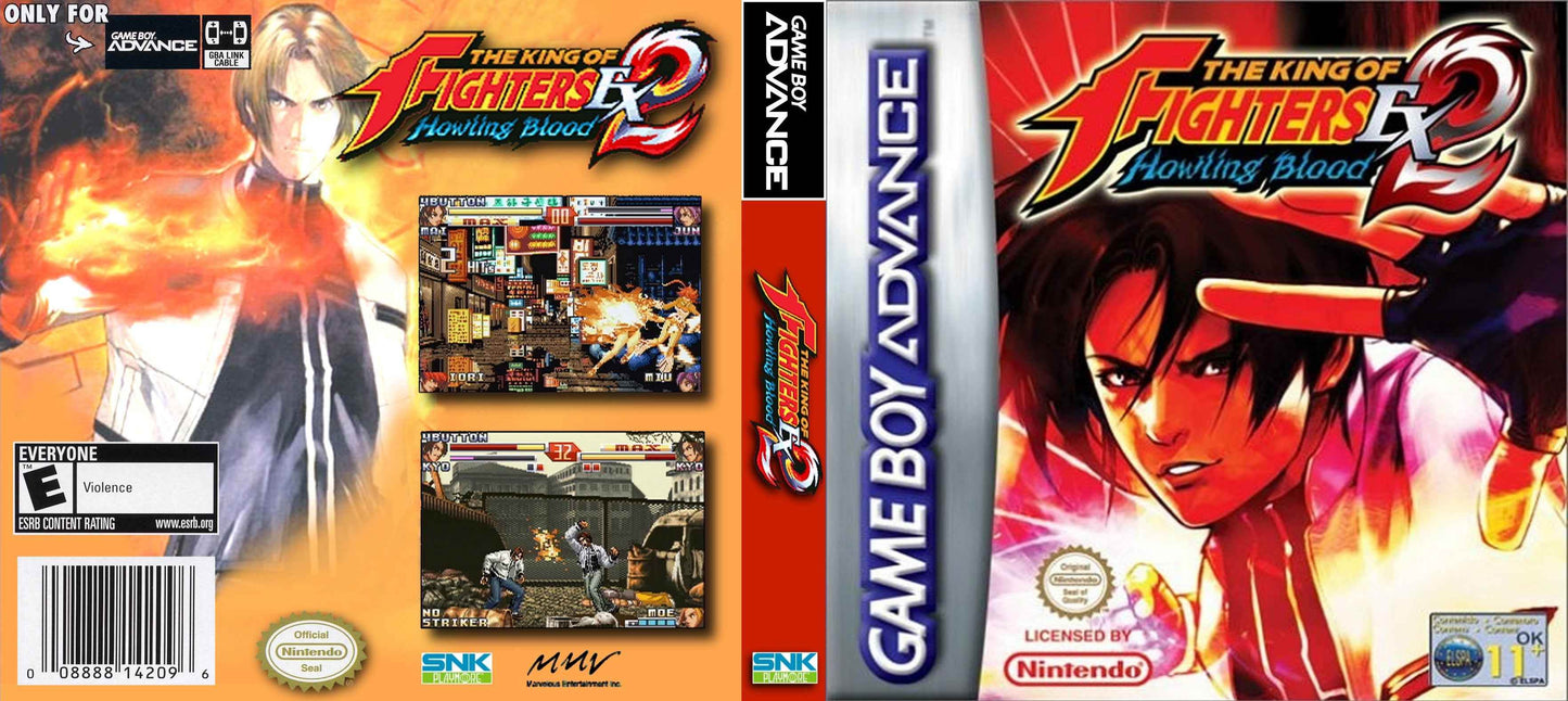 King of Fighters EX2 Howling Blood Cover Art - WOI Solutions