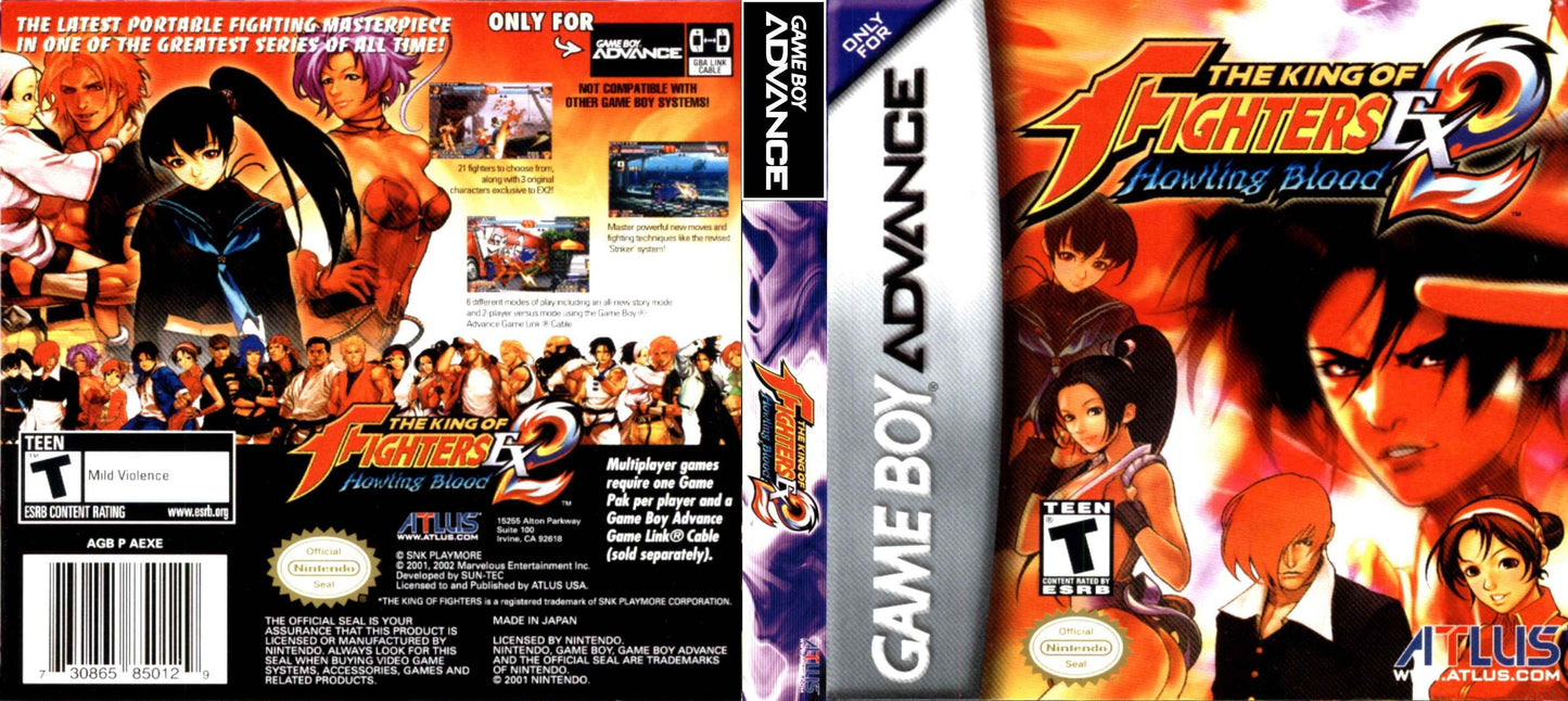 King of Fighters EX2 Howling Blood Cover Art - WOI Solutions