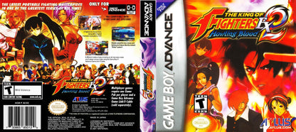 King of Fighters EX2 Howling Blood Cover Art - WOI Solutions