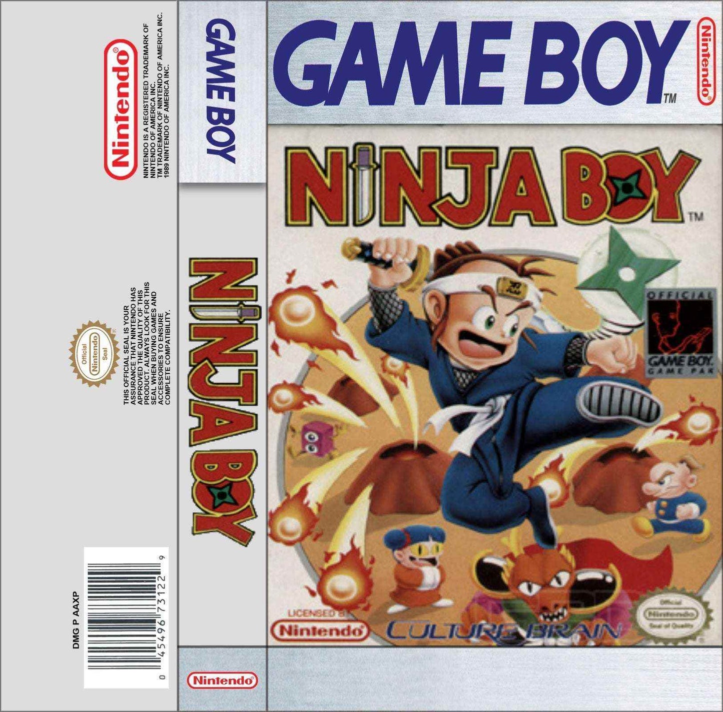 Ninja Boy Cover Art - WOI Solutions