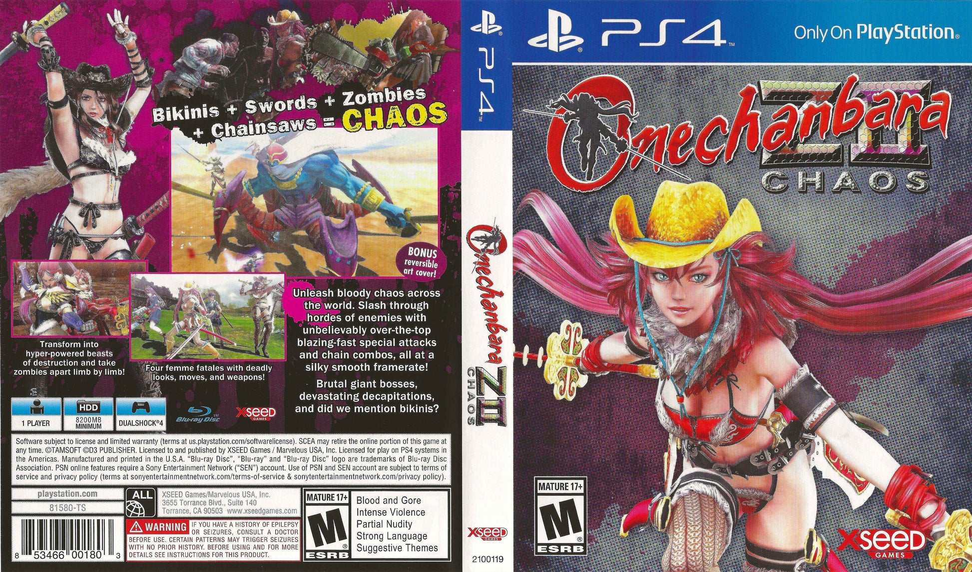 Onechanbara ZII Chaos Cover Art - WOI Solutions