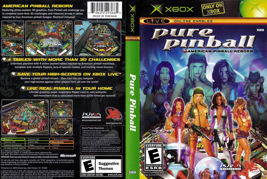 Pure Pinball Cover Art - WOI Solutions
