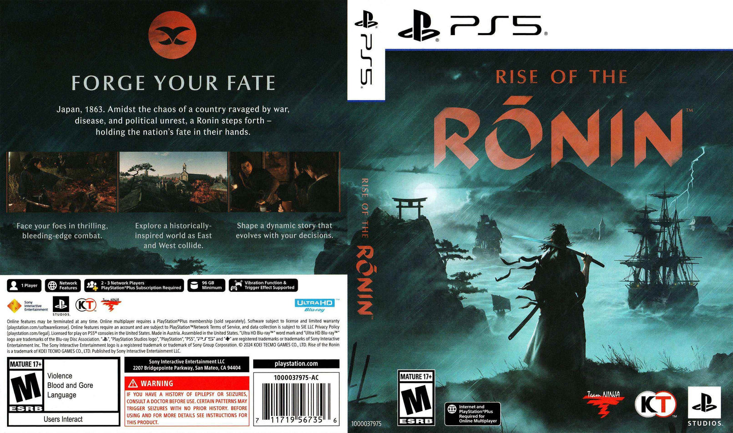 Rise of the Ronin Cover Art - WOI Solutions