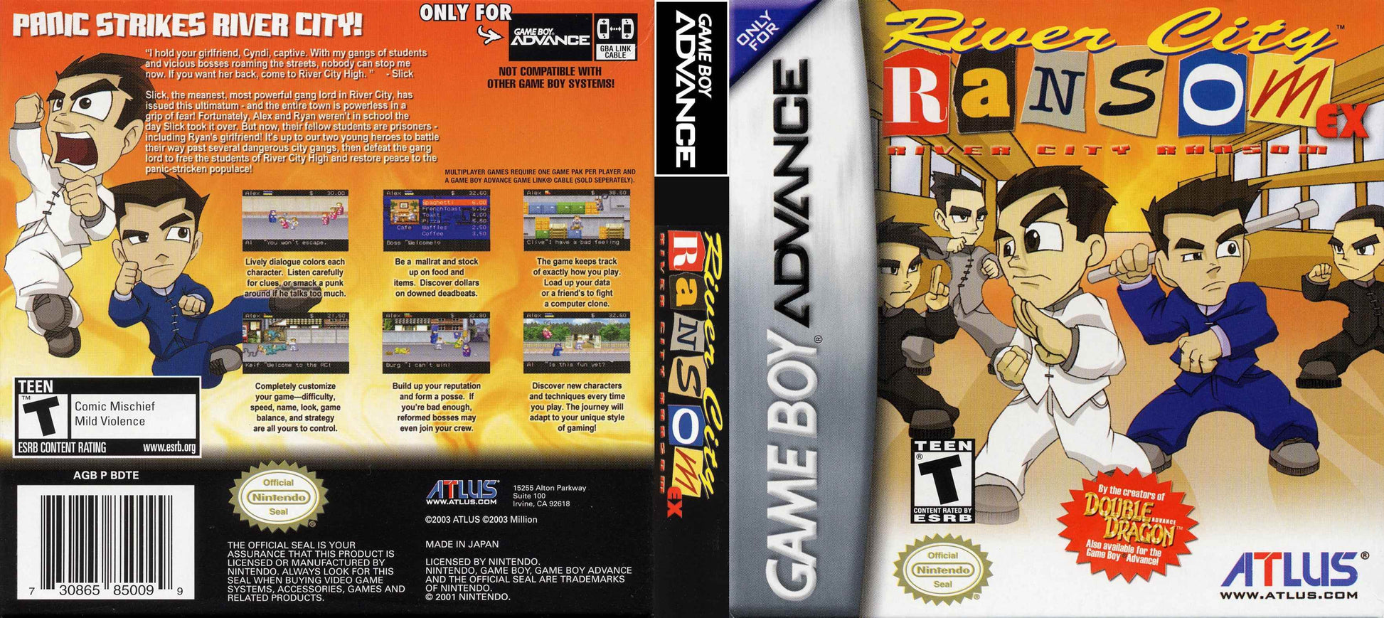 River City Ransom Cover Art - WOI Solutions