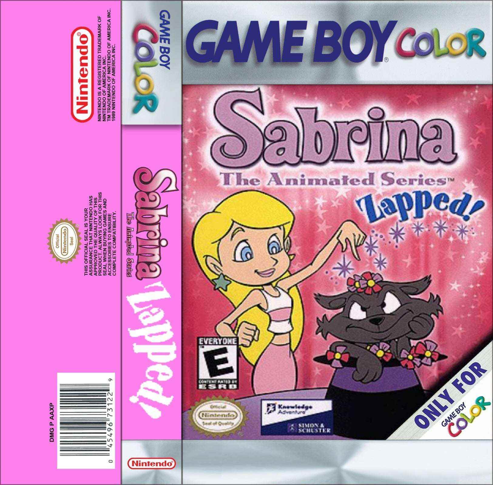 Sabrina Zapped Cover Art - WOI Solutions