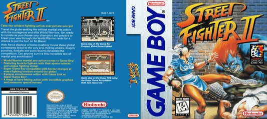 Street Fighter II Cover Art - WOI Solutions