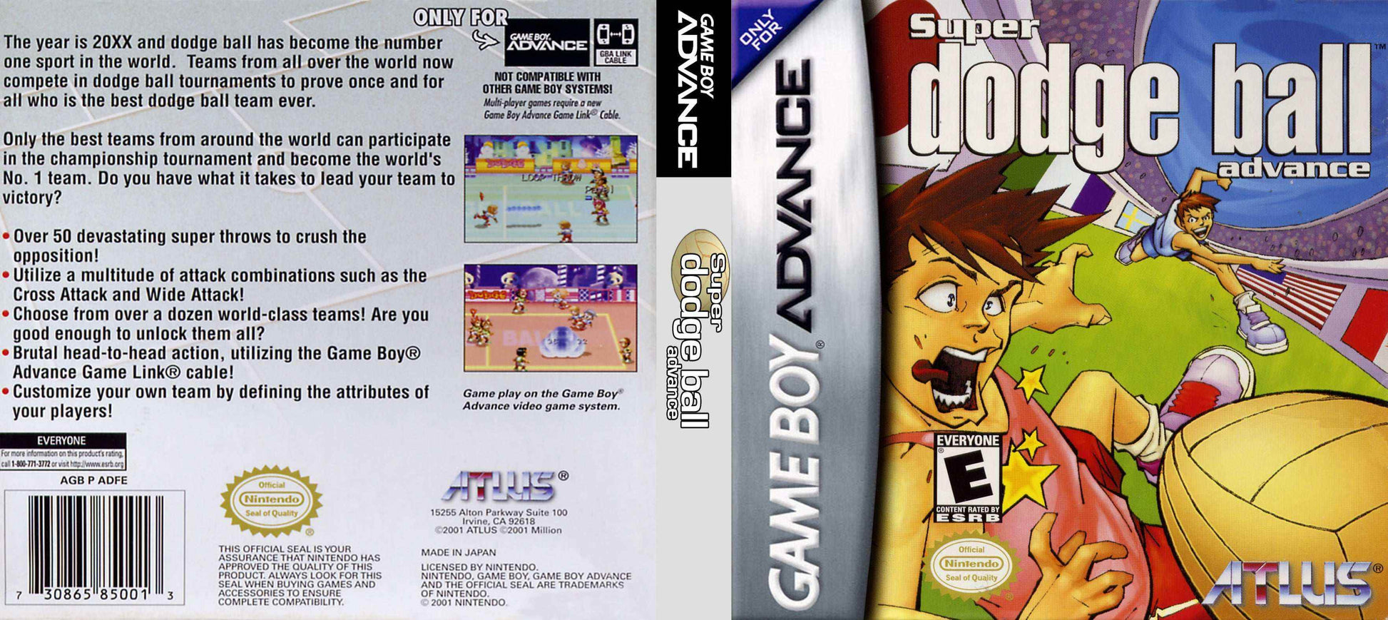 Super Dodge Ball Advance Cover Art - WOI Solutions