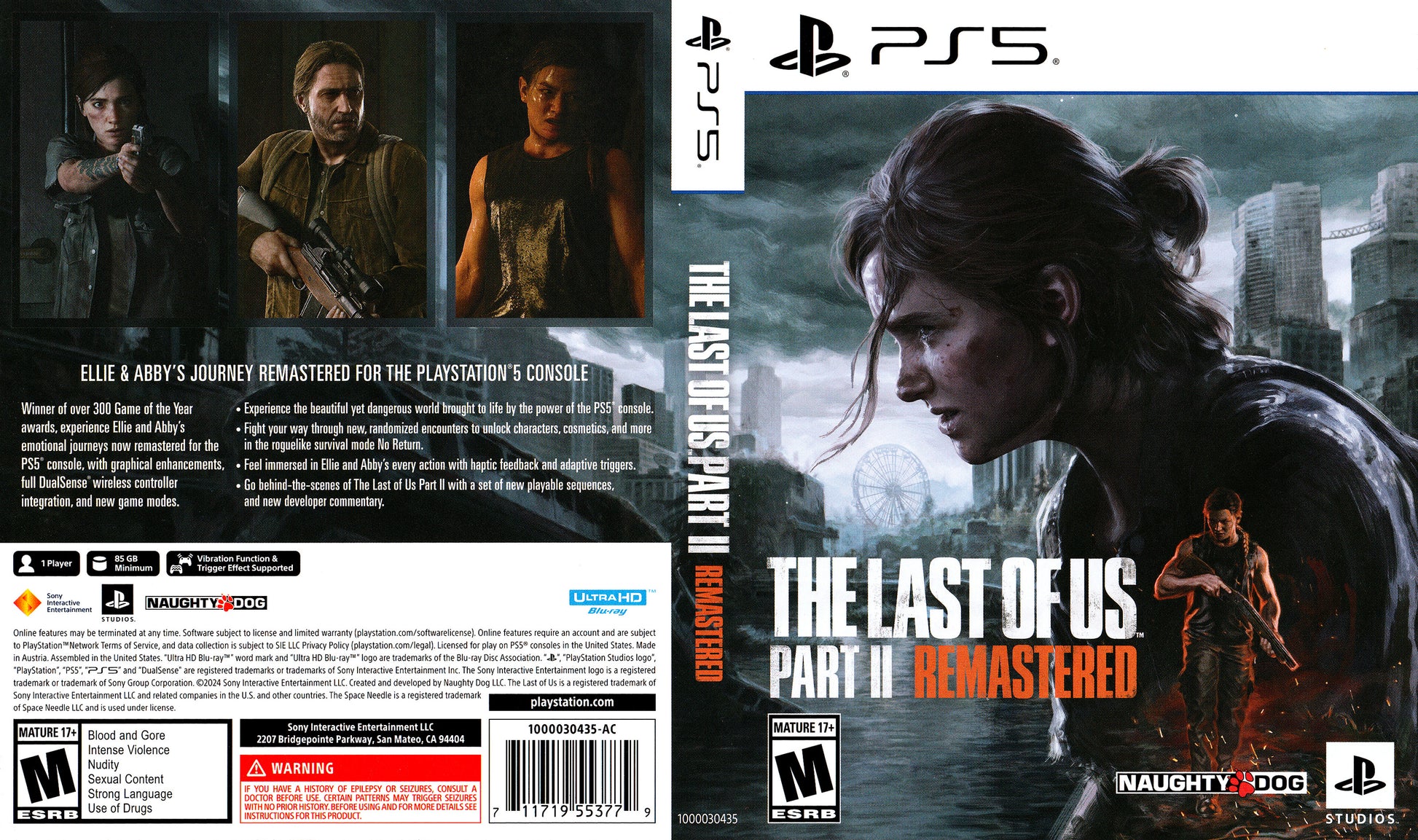 The Last of Us Part II Remake