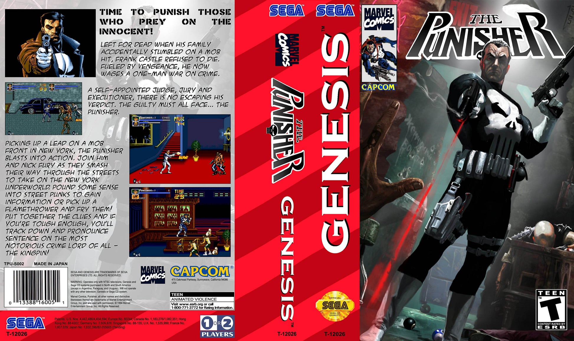 The Punisher Cover Art - WOI Solutions