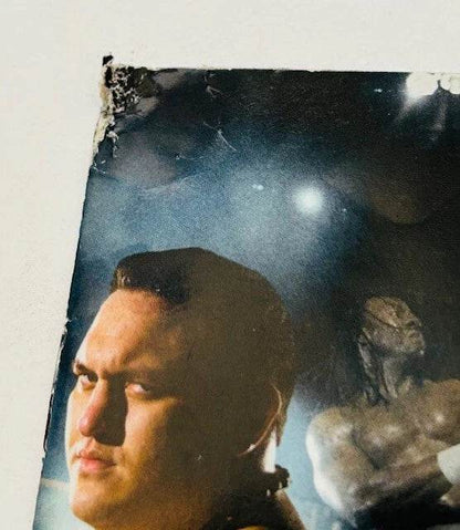 TNA Impact! For PS3 Manual Only Cover Art - WOI Solutions